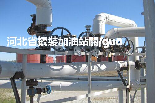 河北省撬裝加油站關(guān)鍵技術(shù)突破！化工廠拆除工程的新方法探索？